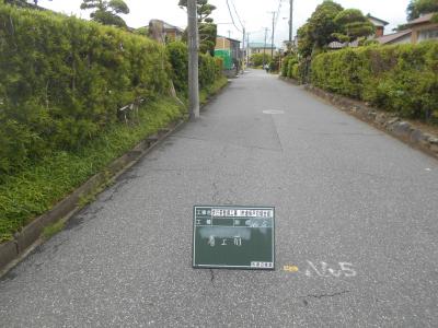 写真（前）