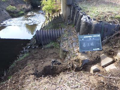 写真（前）