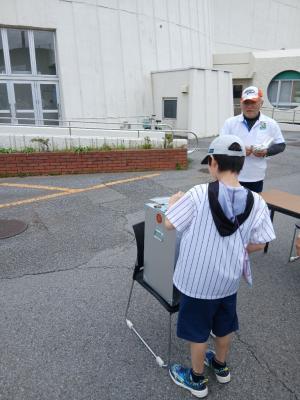 投票している写真