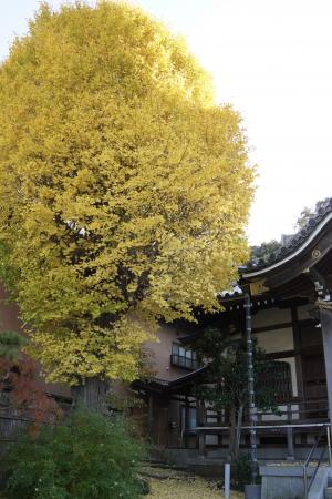 花まつり
