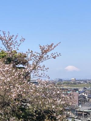 福王神社のおさんぽ