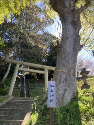 福王神社のおさんぽ