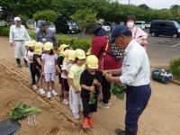 平川＿サツマイモ＿2