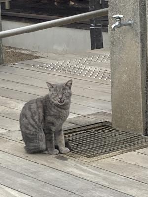 袖ケ浦公園のおさんぽ