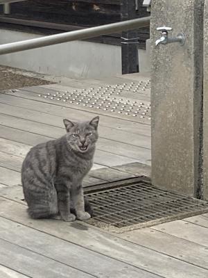 袖ケ浦公園のおさんぽ
