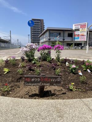 袖ケ浦駅南口のおさんぽ