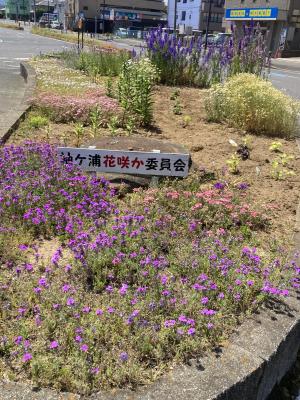 袖ケ浦駅南口のおさんぽ
