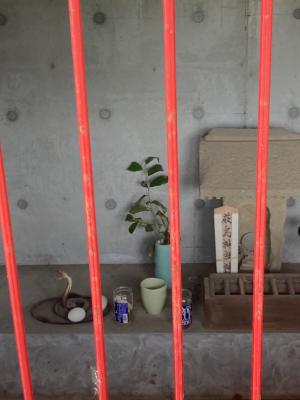 厳島神社のおさんぽ