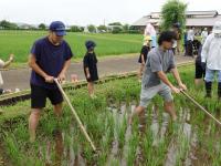 田んぼの学校【公募家族】実施報告 - 袖ケ浦市公式ホームページ（農林