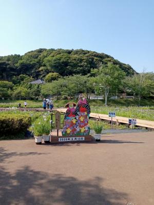 花摘み娘の顔出しパネルの写真
