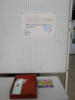 展示の様子