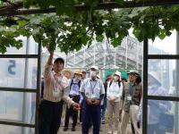 圃場での実習の様子