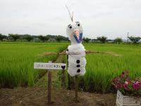 orafu