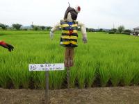 kitarou