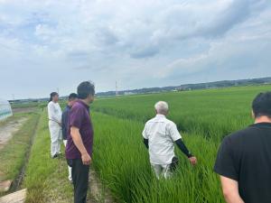 圃場の様子