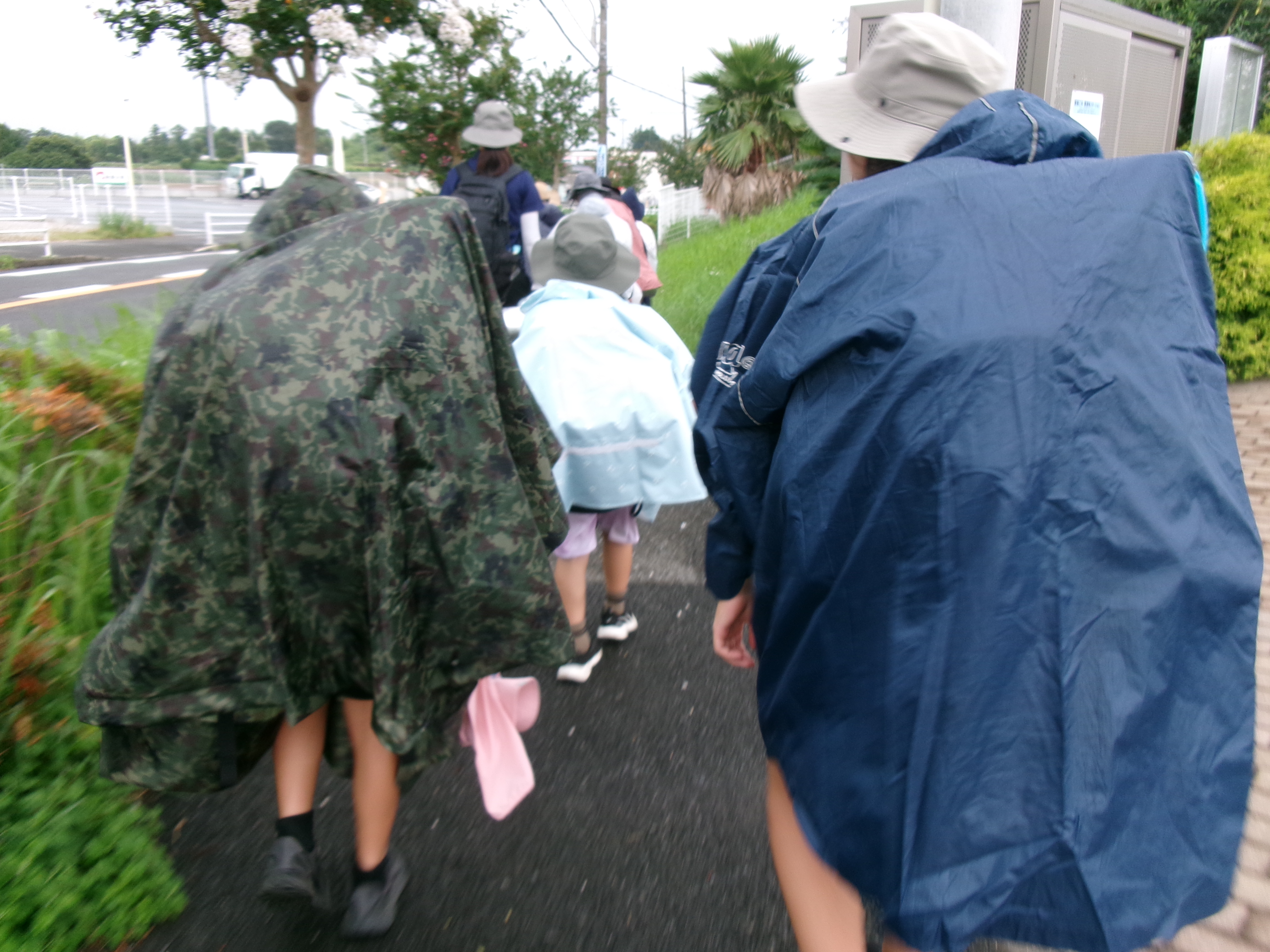 移動中