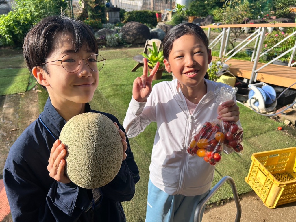 差し入れ