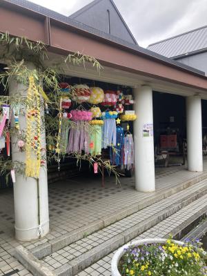 袖ケ浦公園のおさんぽ