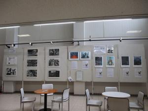 展示の様子