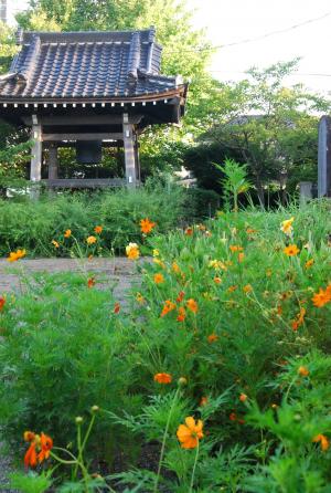 毎朝、鐘の音が聞こえる寺