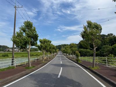 現地写真②