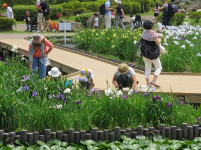 菖蒲園でざりがに釣りの画像