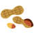 落花生（半立）乾豆のイメージ1
