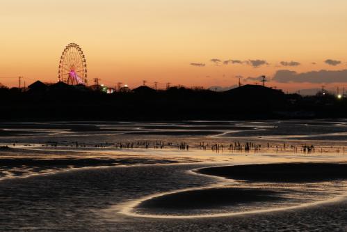 袖ケ浦海浜公園から三井アウトレットパークの観覧車を入れた写真