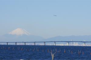 袖ケ浦海浜公園から見る富士山の日中の写真