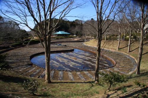 袖ケ浦公園で行われる花菖蒲の準備が始まる写真