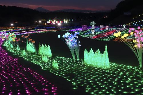 東京ドイツ村のイルミネーションの写真