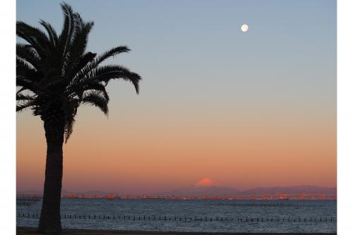 朝焼けがかかる月と富士山の写真