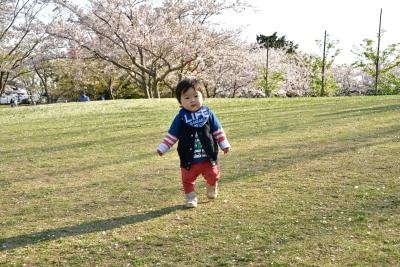 桜色の思い出の写真（こども）1