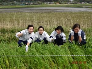 神納花の15会の活動写真