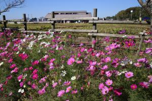 農村公園ひらおかの里の写真