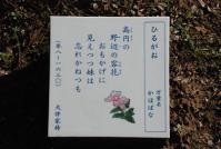 「万葉集」に詠まれた植物の歌碑の写真