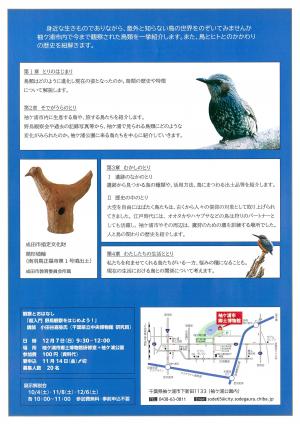 鳥をめぐるものがたりチラシ
