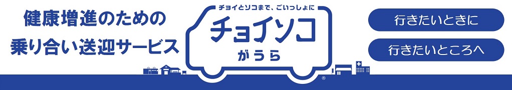 チョイソコがうら