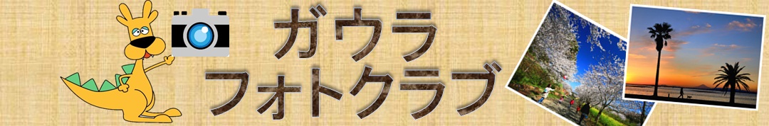ガウラフォトクラブ